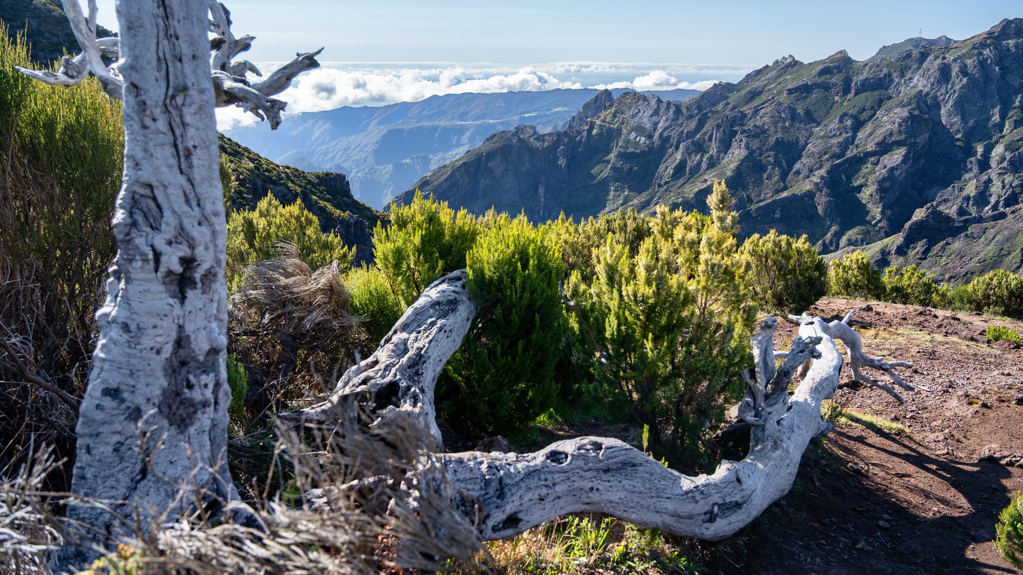 20250516 094127 Santana   Tagesausflug zum Pico Ruivo